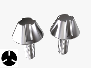 Tri-Groove Tamper Proof Screws